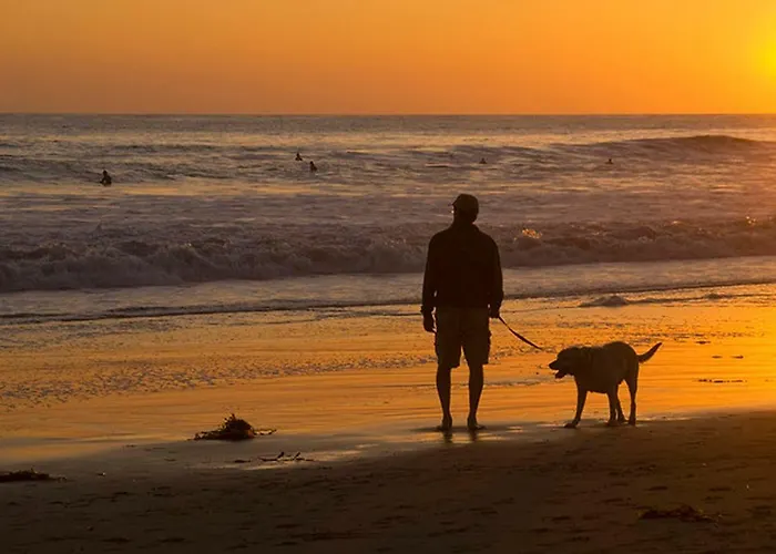 Latorre Torremolinos